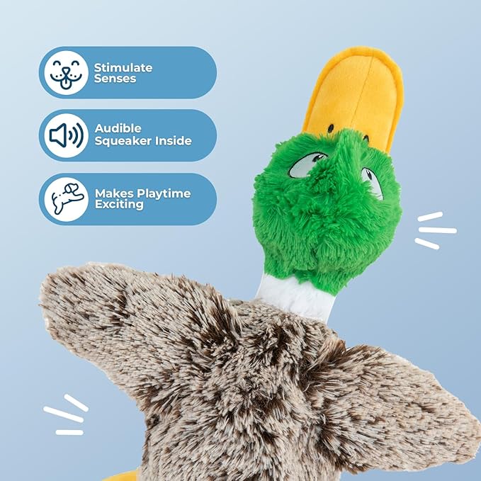 Best Pet Supplies Interactive Mallard Mates Dog Toy with Crinkle and Squeaky Enrichment for Small and Medium Breed Puppies or Dogs, Cute and Plush - Mallard Duck (Gray), Small