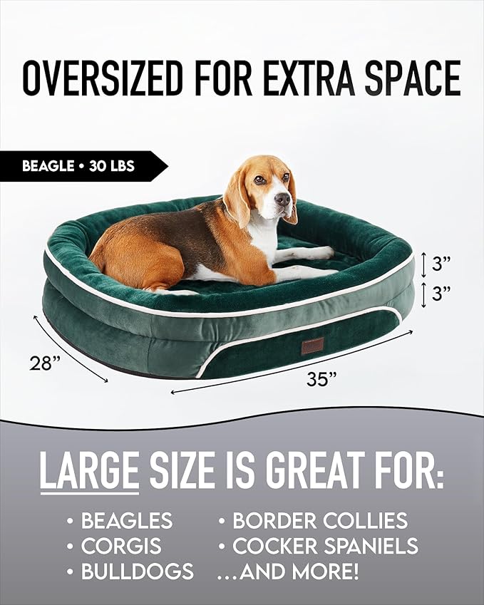 OhGeni Orthopedic Dog Bed for Large Dogs, Dog Couch Design with Egg Foam Support, Removable, Machine Washable Plush Cover and Non-Slip Bottom with Four Sided Bolster Cushion (Dark Green)