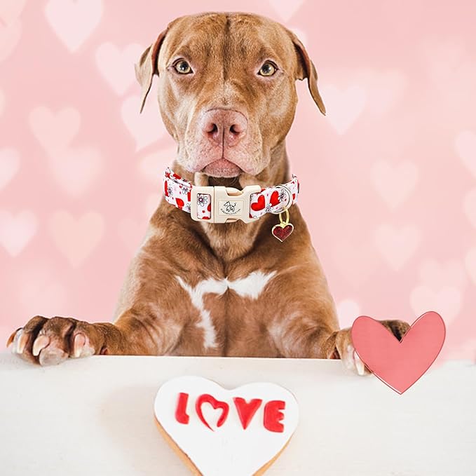 Elegant little tail Valentine's Day Dog Collar-Cute Pink Heart Dog Collar for Medium Dogs, Female or Male Adjustable Cotton Pet Collar with Quick Release Buckle for Small Medium Large Dogs