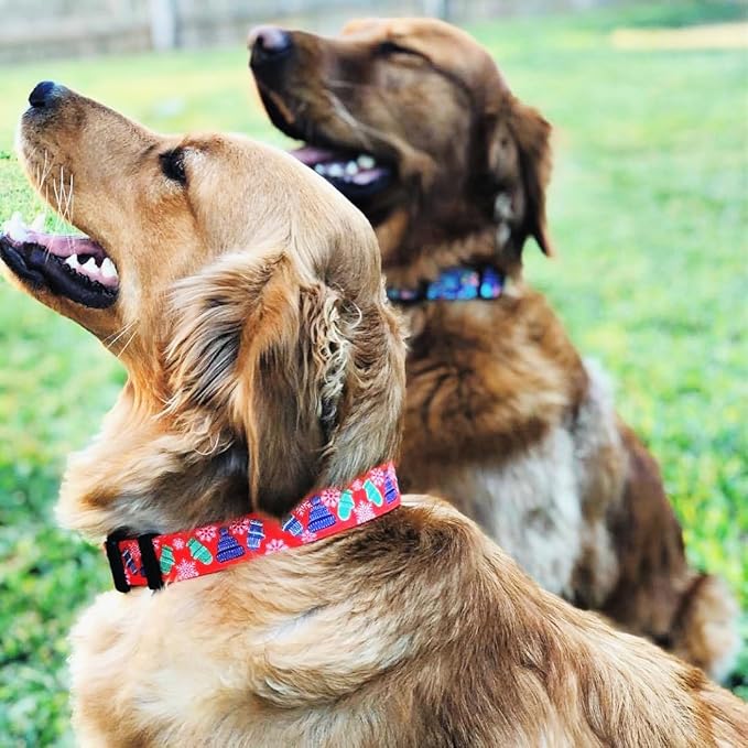 Lucky Love Dog, Winter Stocking Caps and Mittens Dog Collar and Leash Set, Matching Snowflakes Collar and Leash for Male and Female Dogs - (Extra Small, Chilly Combo)