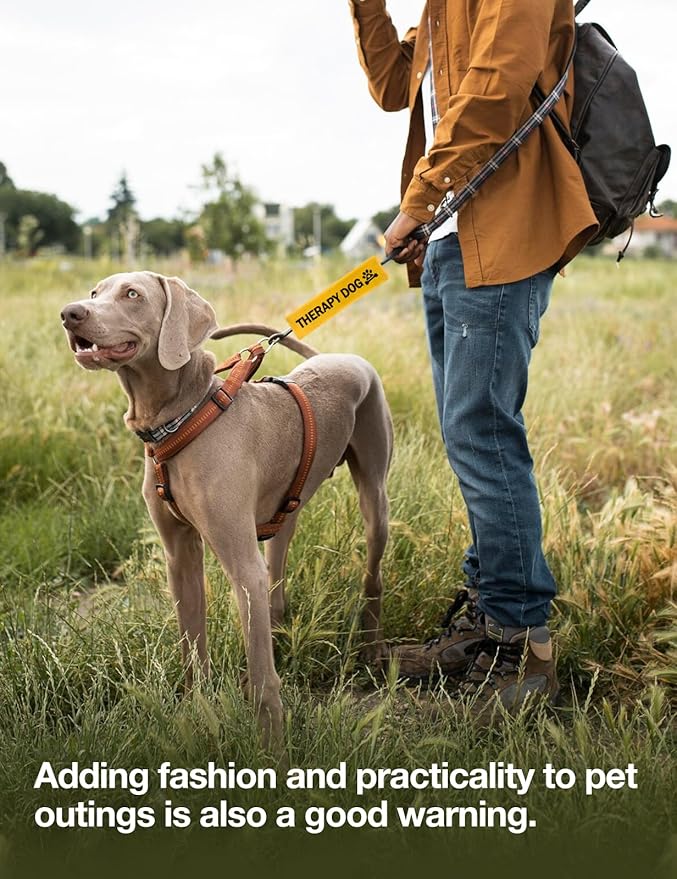 Yellow Therapy Dog Leash Sleeve, Emotional Support Dog Tags Dog Leash Sleeve Wrap Alert Hanging ID Patch Tag Dog Bike Leash Sleeve, Pet Dog Birthday Service Dog Leash Gift for Dog Owners