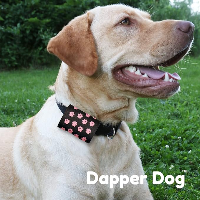 Dapper Dog Pet Tag Silencer and AirTag Holder (Black with Small Pink Paws)