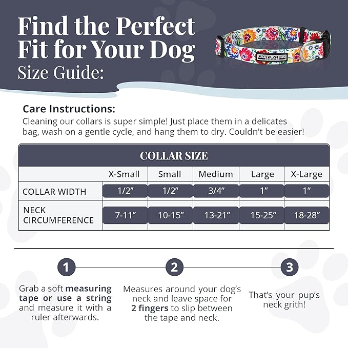 Lucky Love Dog - Adjustable Dog Collar with Easy Click Buckle for Small to Large Dogs, Durable, & Comfortable Collar for Male & Female Dogs, Pet Collar for Puppies & Adult Dogs - Ladybird, Medium