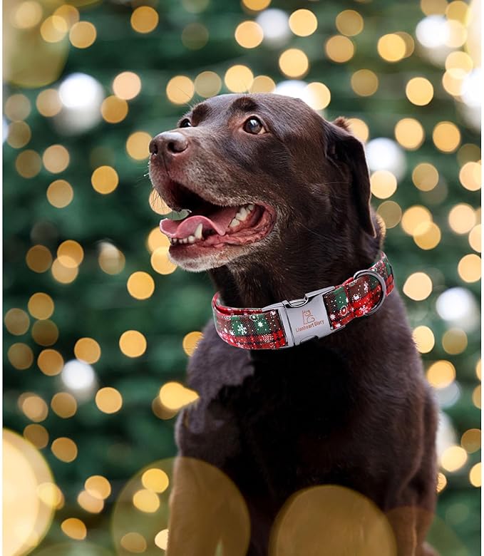 Lionheart glory Christmas Plaid Dog Collar, Dogs Collar Adjustable Soft and Comfortable Dog Collars for Small Dogs Girl or Boy Pet Gift Fall Collar Dog Collar