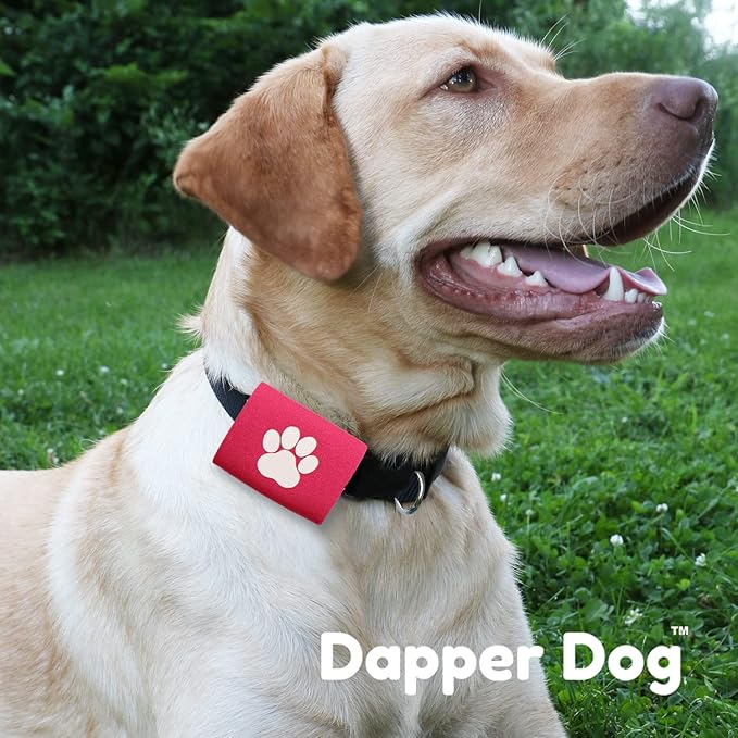 Dapper Dog Pet Tag Silencer and AirTag Holder (Pink with White Paw)