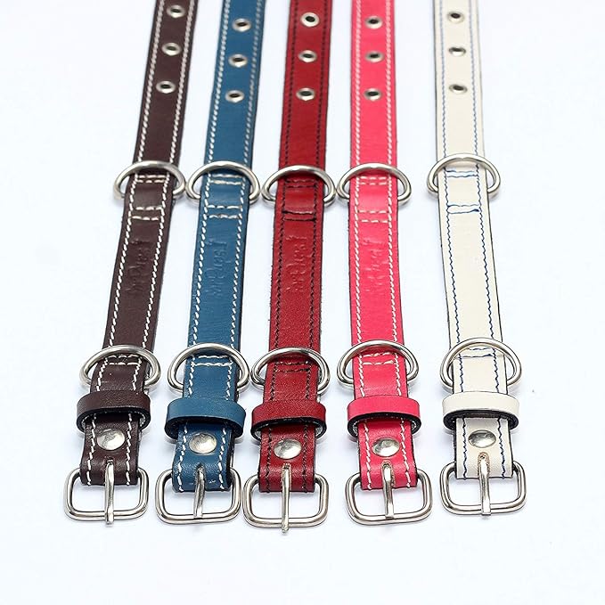 Premium Leather Collars with Stainless Steel Buckles (12"-15", Red)