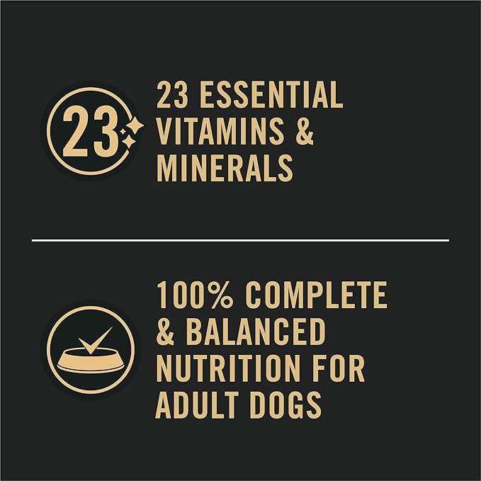 Purina Pro Plan Sensitive Skin and Stomach Dog Food Wet Classic Pate Lamb and Oat Meal Entrée - (Pack of 12) 13 oz. Cans