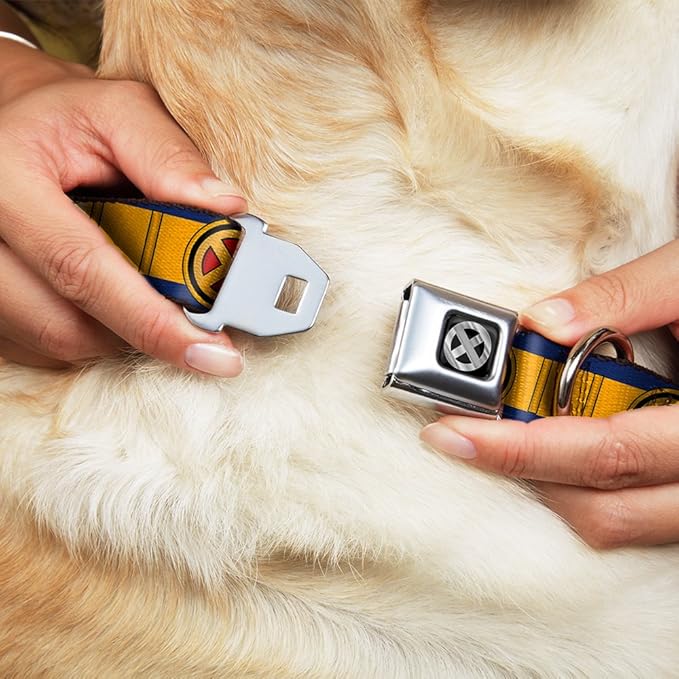 Buckle-Down Dog Collar Seatbelt Buckle X Men Cyclops Utility Strap Blue Gold Black Red, 1.5" Wide - Fits 13-18" Neck - Small, DC-SB-XMB-WXM040-1.5-S