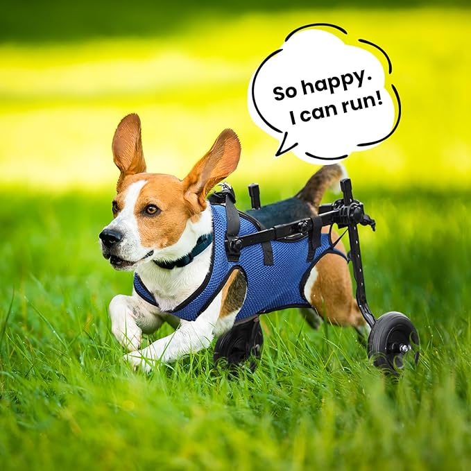 Dog Wheelchair for Back Legs, Dog Wheelchair for Small Dog, Adjustable Pets Cart with Wheels, Doggy Wheelchairs for Disabled Hind Legs, Dog Leg Brace and Hip Support, Small
