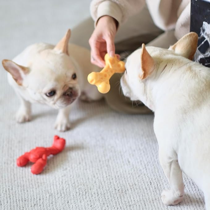 Nylabone Power Chew Lobster Dog Chew Toy, Cute Dog Toys for Aggressive Chewers, Filet Mignon Flavor, Small/Regular (1 Count)