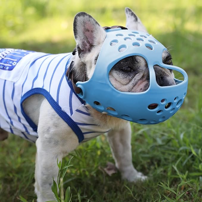 Short Snout Dog Muzzles,Soft Silicone Adjustable Breathable Bulldog Muzzle for Biting Chewing Barking Training,Ideal for Flat-Faced Dogs (Small/10-13"(Pack of 1), Blue)