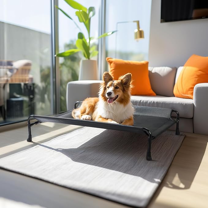 Veehoo Elevated Dog Bed, Cooling Raised Dog Bed with Guardrail & Headrest, Upgraded Non-Slip Silicon Feet, Breathable Teslin Mesh, Portable Pet Cot for Indoor and Outdoor, Medium, Black, CWC2404