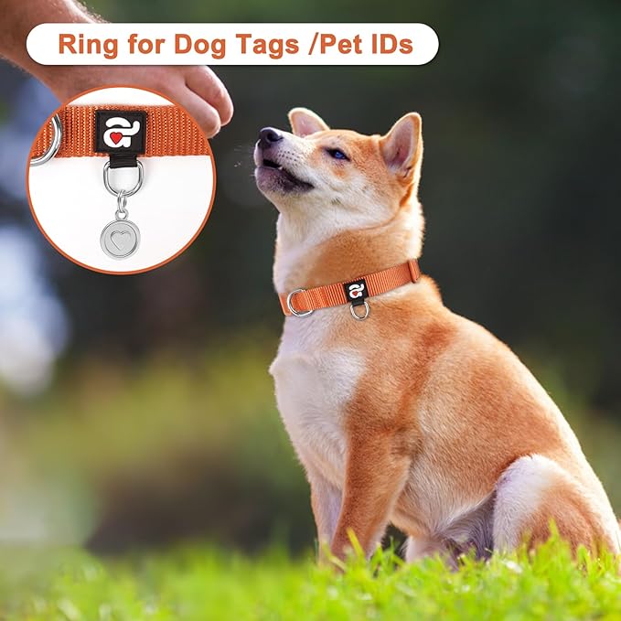 azuza 3 Pack Fall Dog Collars Comfortable and Adjustable Nylon Dog Collars for Large Dogs, L (18-26inch), Ginger Yellow, Rust Orange and Latte Brown