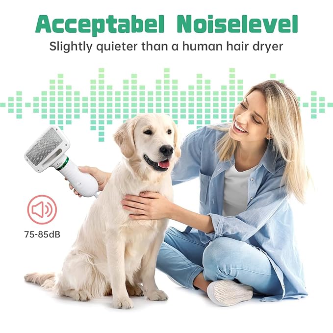 Pet Hair Dryer, 2-in-1 Dog Hair Brush Dryer With Slicker Brush, 300W Pet Grooming Dryer for Small and Medium-Sized Dogs and Cats, Portable & Adjustable Temperature