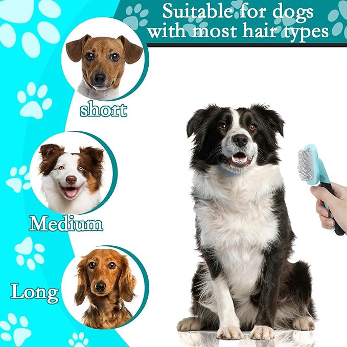 Dog Brush and Cat Brush, Pet Grooming Brush Gently Cleans Pin Brush for Hair Removal Cat and Dog Hair Brush for Small Dogs Yorkshire Terrier Pomeranian Poodle and Cat