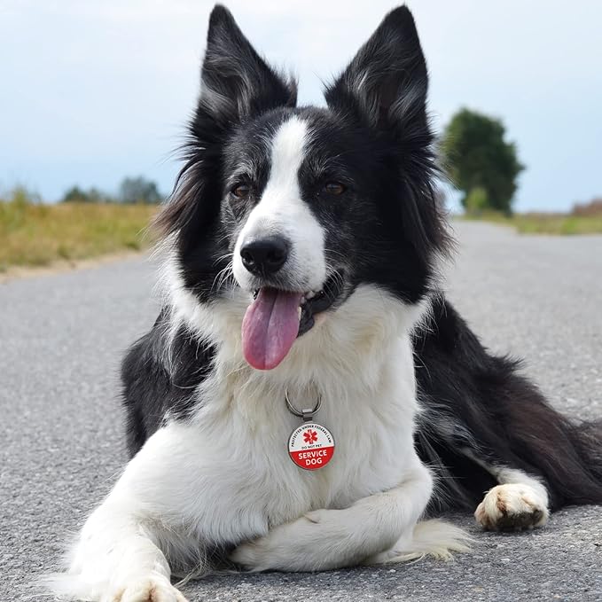 MYLUCKYTAG Service Dog Tag, QR Code Pet ID Tag Dog Tag, Online Pet Profile, Pet Location Alert Email, Digital Pet Tag, Durable Pet ID, Dog Collar Tag, Durable Pet ID, Engraved Pet Tag