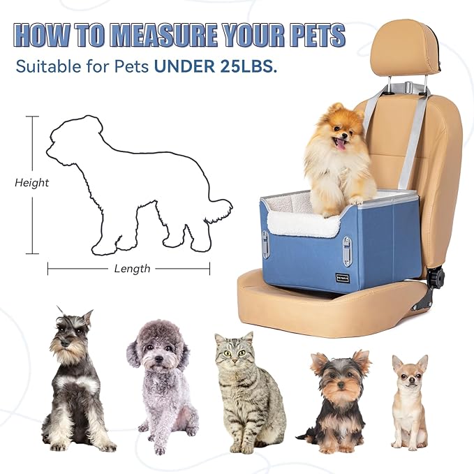 PETSFIT Small Dog Car Seat, Puppy Portable Dog Booster seat for Car with Clip-On Leash, Adjustable Straps Suitable for Small Pets Up to 25lbs (Navy Blue)