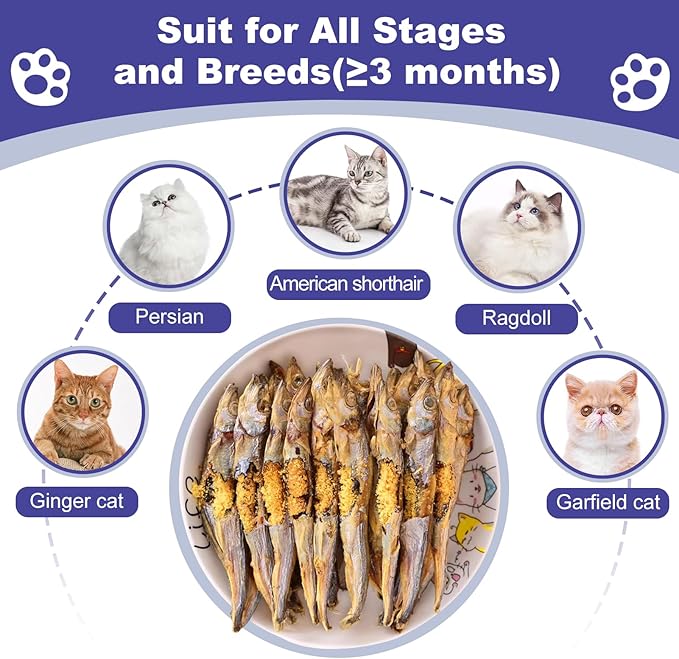 Freeze Dried Fish Dog Treats - Whole Capelin Fish Seeds Cats Treats Natural Single Ingredient Delicious Snacks Training Healthy Chews Food Pet Food No Fillers (3 Oz)