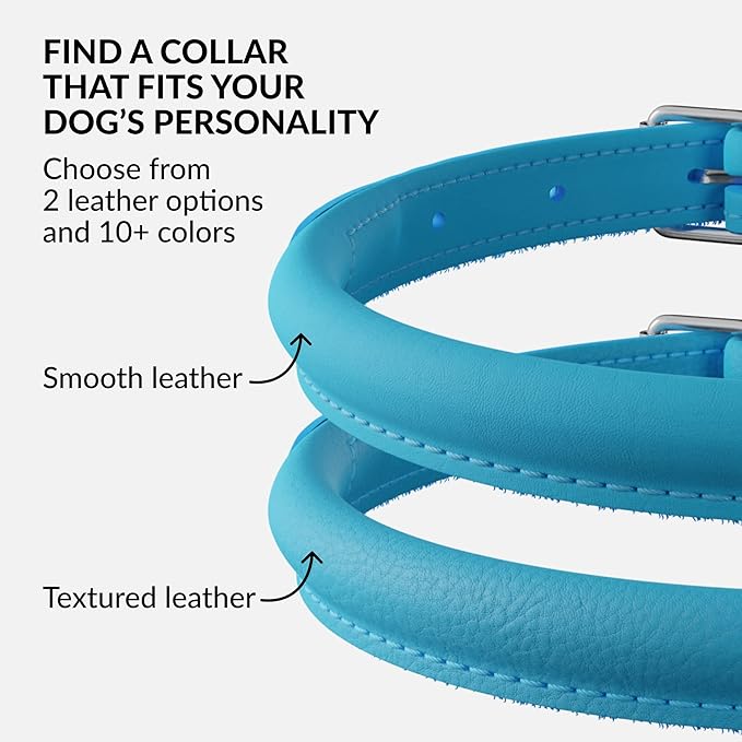 CollarDirect Rolled Leather Dog Collar, Soft Padded Round Puppy Collar, Handmade Genuine Leather Collar Dog Small Large Cat Collars 13 Colors (15-19 Inch, Light Blue Smooth)