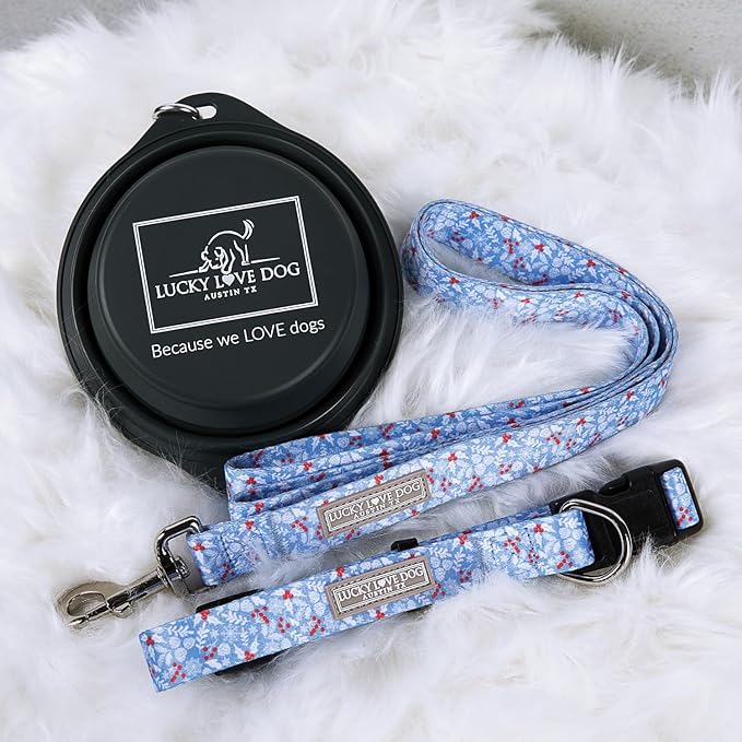 Lucky Love Dog Winter Themed Martingale Collar, Premium No Slip Collar, Snowflake Christmas Martingale Collar for Small Dogs - (Winterblue No Slip, S)