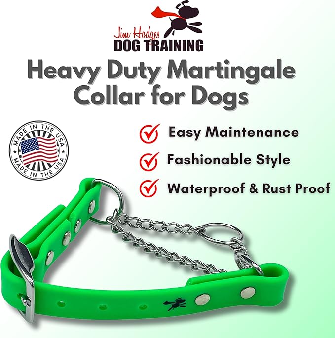 Martingale Collar for Dogs, Biothane, Stainless Steel Hardware, No Pull, Made in The USA, Professional Grade, Small, Green