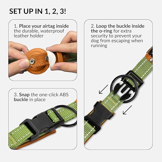 Airtag Dog Collar, CollarDirect, Reflective Dog Collar for Apple Air Tag for Large, Medium, and Small Dogs, Green, XL