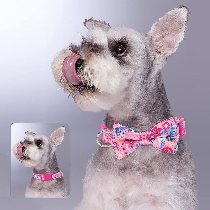 Didog Floral Dog Collar with Bow, Cute Girl Dog Collars with Detachable Bowtie, Soft & Comfy Spring Summer Dog Collar for Small Medium Large Dogs Gift Holiday, Hot Pink, L