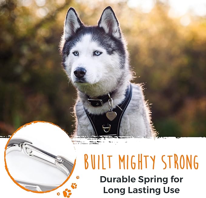 Mighty Paw Dog Tag Carabiner Clips - 3 Pack Strong Dog Tag Clip - Weather Resistant & Easy to Clean Quick ID Holders - Easy Switch Dog Tags - Attach Keys or Poop Bag Holders - for All Size Collars