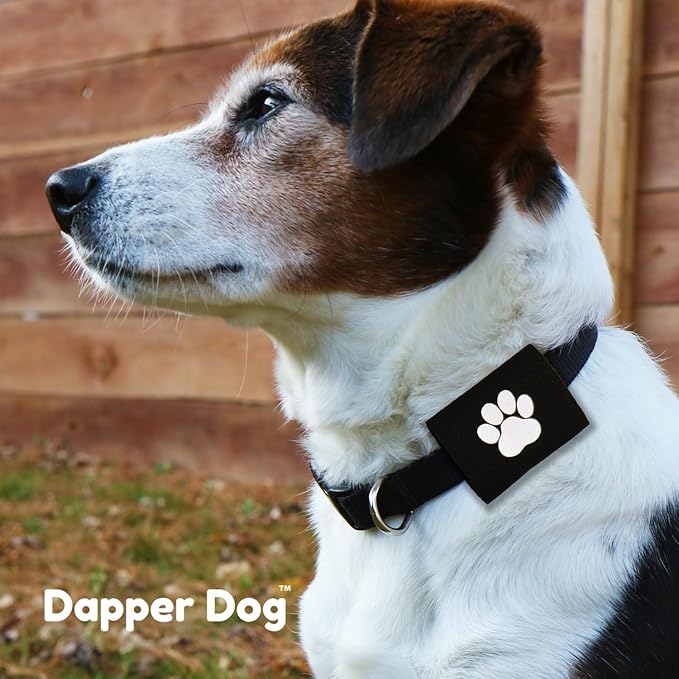 Dapper Dog Pet Tag Silencer and AirTag Holder (Black with White Paw)