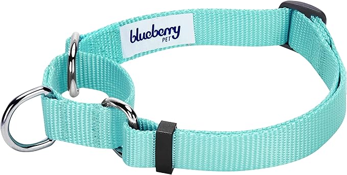 Blueberry Pet Essentials Martingale Safety Training Dog Collar, Mint Blue, Medium, Heavy Duty Nylon Adjustable Collars for Dogs