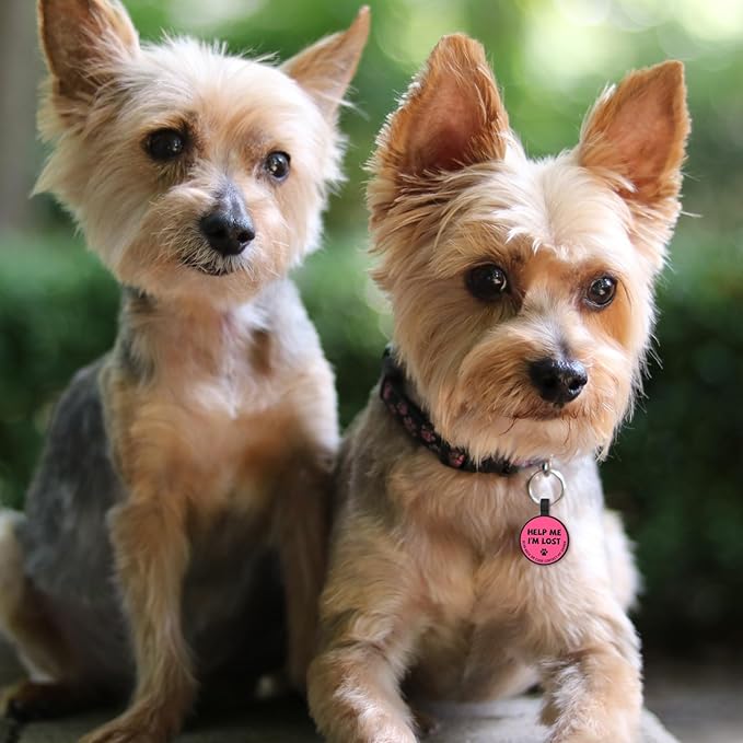 MYLUCKYTAG Silent Silicone QR Code Pet ID Tags Dog Tags - Pet Online Profile - Scan QR Receive Instant Pet Location Alert Email