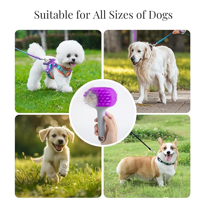QMEAKMONY Dog Bath Brush Shampoo Brush Scrubber for Bath with Soap Dispenser Soft Bristles Deep Cleaning Ergonomic Handle for Grooming Shedding and Long Short Haired Dogs (Purple)