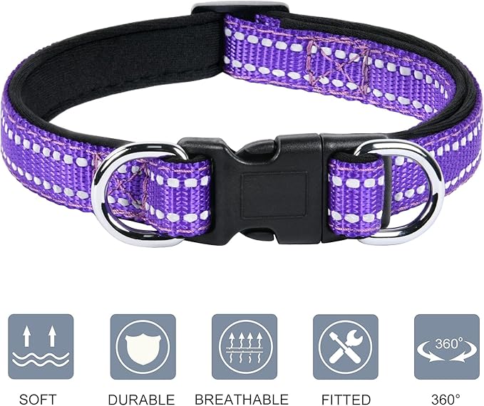 AUAUY Reflective Nylon Dog Collars, Adjustable Classic Pet Collars with Soft Neoprene Padding, Double Security Dual D-Ring and Quick Release Buckle for Small Puppy, Medium and Large Dogs (Purple-M)
