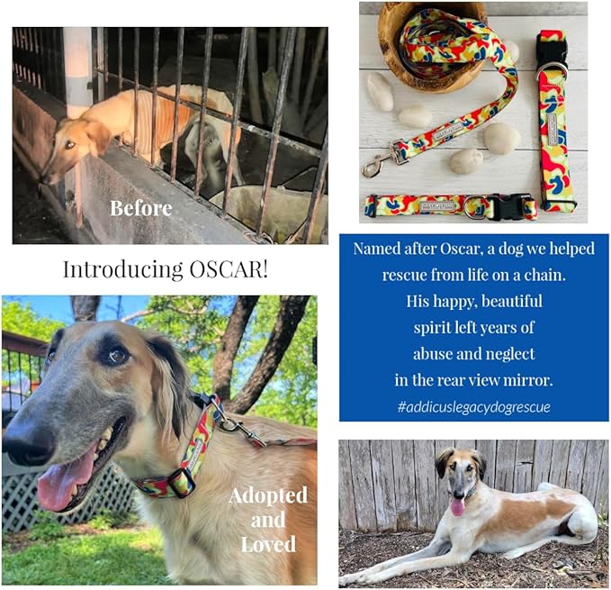 Lucky Love Dog Patterned Dog Collar - Adjustable, Durable, Soft Webbing, & Comfortable Dog Collar for Male and Female Dogs - Cool Dog Collar in Oscar Pattern with Strong Buckle, X-Small Size