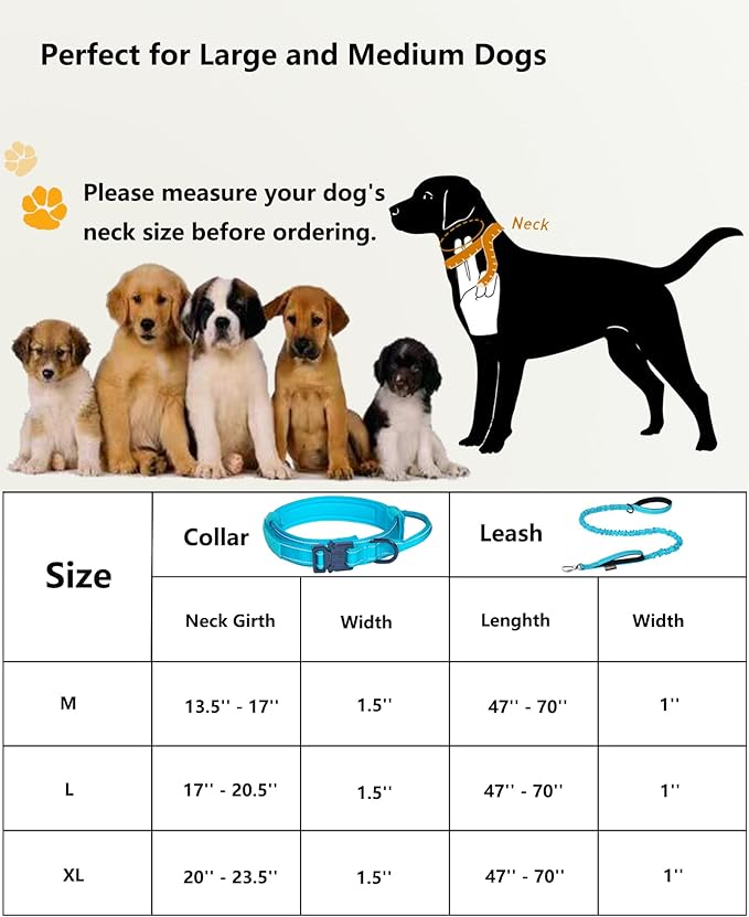 AUBELL Tactical Dog Collar and Leash Set, Adjustable Military Nylon Reflective Dog Leash and Collar with Handle and Heavy Metal Buckle for Medium Large Dogs, with Airtag Holder and 2 Patches(Blue, M)