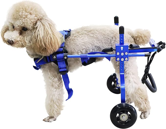 Adjustable Dog Wheelchair for Back Legs,Pet/Doggie Doggy Wheelchairs with Disabled Hind Legs Walking (XS-Blue)