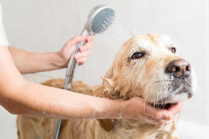 Pet Silk Hypoallergenic Shampoo, Free of Dyes and Fragrances, Specially Designed for Pet's with Sensitive Skin, Infused with Keratin, Achieve a Strong, Healthy & Smooth Coat for Your pet! (1 GAL)