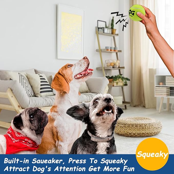 Squeaky Tennis Balls for Dogs Colorful Easy Catching Pet Toy Balls 12 Pack (2.5inch-6colors)