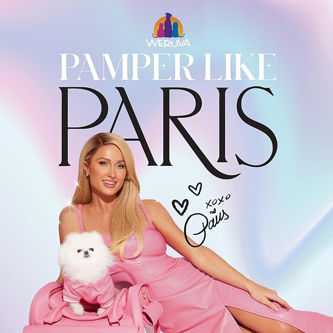 Weruva Paris Hilton Pamper Like Paris Natural Wet Dog Food, Beef and Rice, 2.75oz Cup (Pack of 10)
