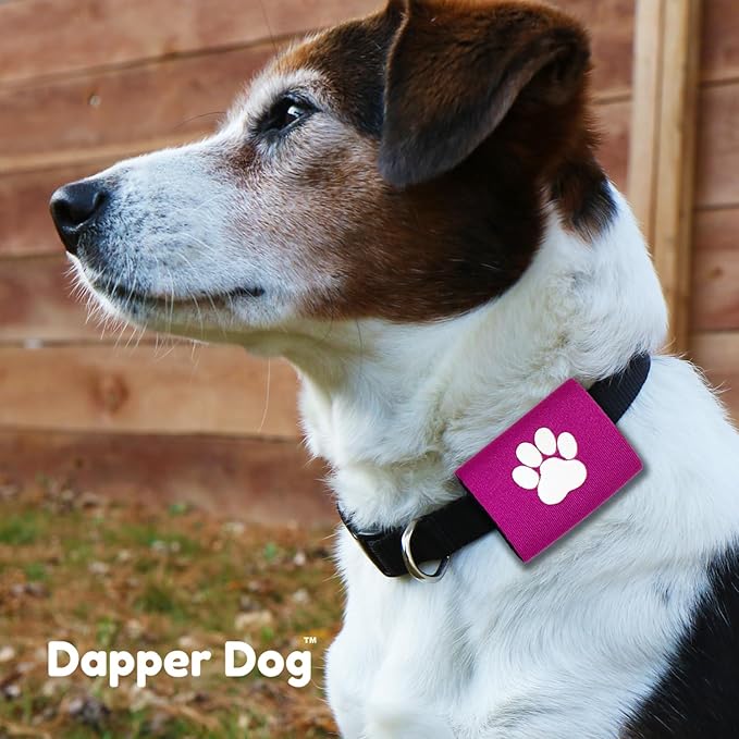 Dapper Dog Pet Tag Silencer and AirTag Holder (Purple with White Paw)