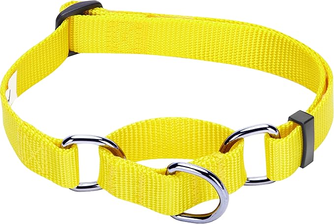 Blueberry Pet Essentials Martingale Safety Training Dog Collar, Blazing Yellow, Small, Heavy Duty Nylon Adjustable Collars for Dogs