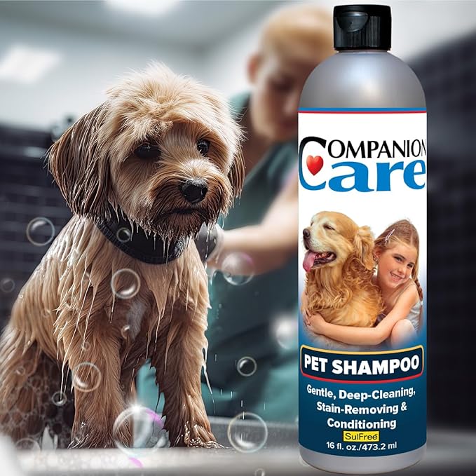 Radiant Pet Shampoo | Gentle, Deep-Cleaning, Stain-Removing & Conditioning for Dogs, Cats, and Most Household Pets | 16 fl oz Bottle