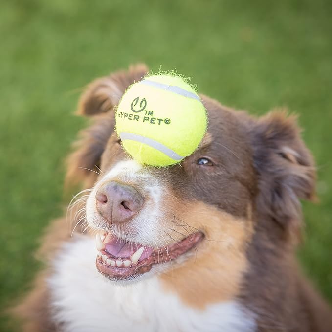 Hyper Pet Tennis Balls for Dogs (Pet Safe Dog Ball Dog Tennis Balls for Exercise & Training) Dog Ball Interactive Dog Toys work with Hyper Pet K9 Kannon K2 Dog Ball Launcher - 4 Pack 2.5" Green