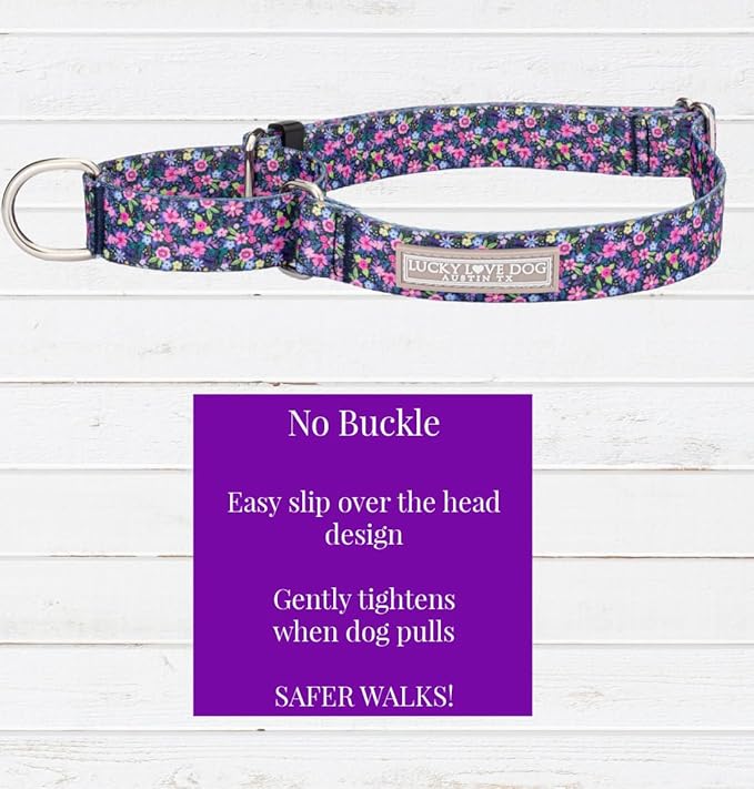 Lucky Love Dog Martingale Collar and Leash Set, Premium No Slip Collar for Large Dogs, Flower Martingale Collar for Girl Dogs, Great for Whippets, Greyhounds, and More (Primrose, Medium - Combo)