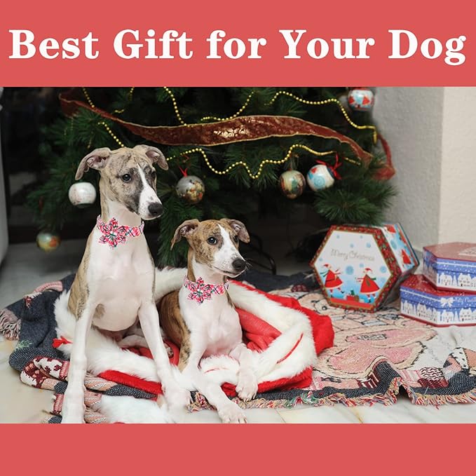 Unique style paws Dog Collar with Flower Pink & Green Plaid Dog Collar Best Gifts for Small Medium Large Dogs -L