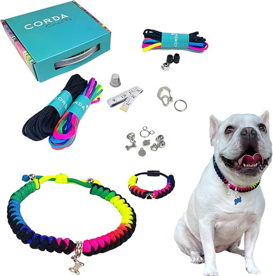 Paracord Kit - Complete Accessories for Making Necklace Dog and Owner Matching Bracelet - Easy Video Tutorial - Waterproof Pet ID Tag Clip Included - Medium Dog, Rainbow
