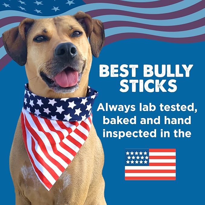 Best Bully Sticks All Natural USA Baked & Packed Pig Ears for Dogs - Single Ingredient Easily digestible 100% Pork Dog Chew Treats - Great for Puppies, Small, Medium, and Large Dogs - 12 Pack