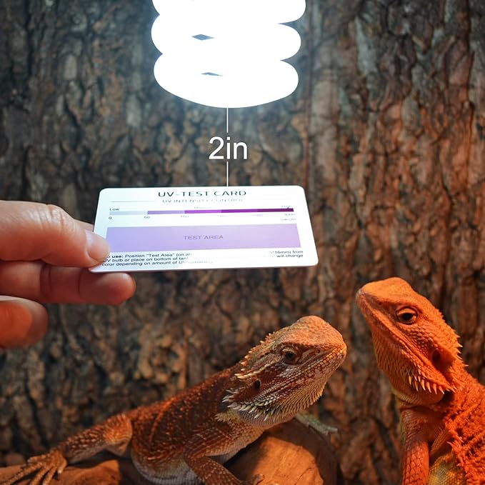 LIKZINWA Small Animal Sling Carrier,Bearded Dragon Carrier Lizard Carrier and Reptile Carrier with Adjustable Strap (Blue-Square)+UV Sensor Card