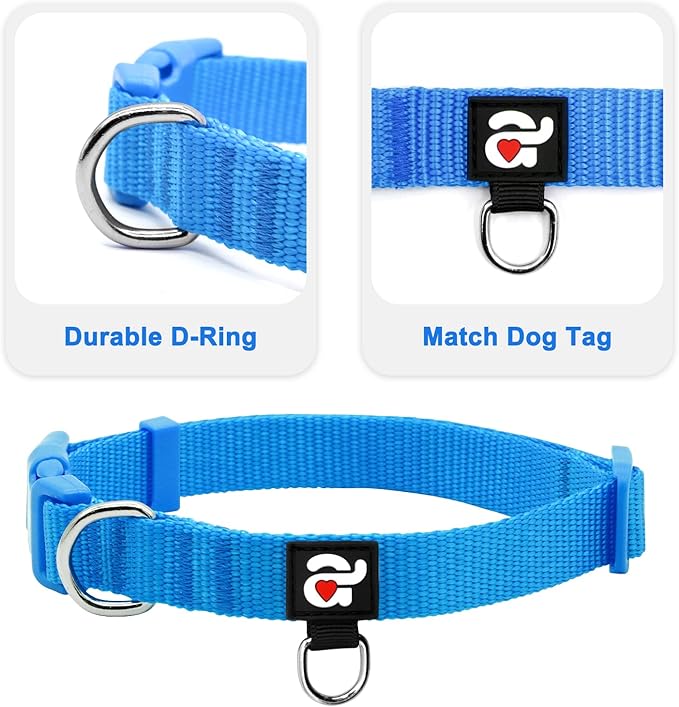 azuza 3 Pack Dog Collars Comfortable and Adjustable Nylon Dog Collars for for Small Dogs, S (11-16inch),Green, Blue and Royal Blue