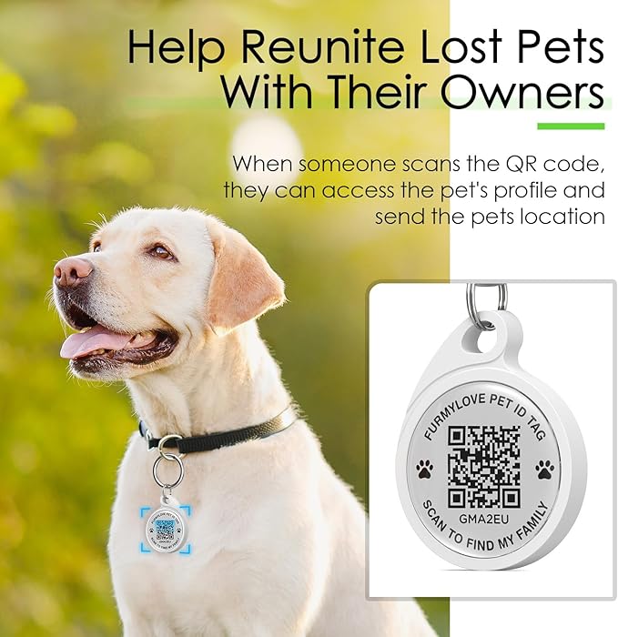 QR Code Dog Tag, Smart ID Tags, Dog Tags Personalized Lightweight Silent ID Tag for Kids Pets Bags Keys, Green
